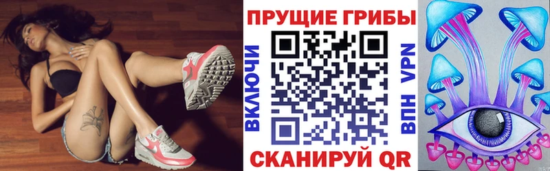 Псилоцибиновые грибы ЛСД kraken сайт Сычёвка